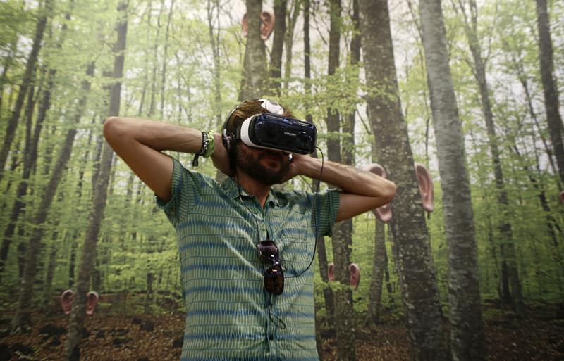 Virtual Reality Equipment's